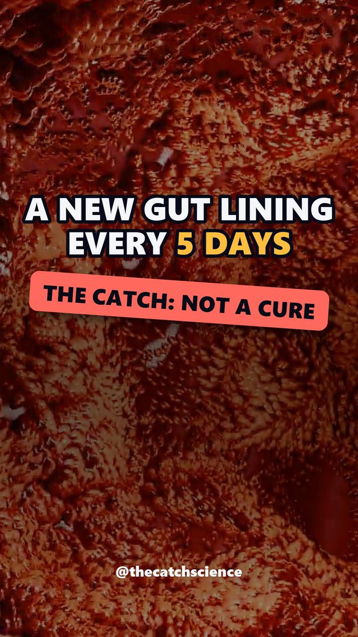 A NEW GUT LINING EVERY 5 DAYS. The catch: Not a cure