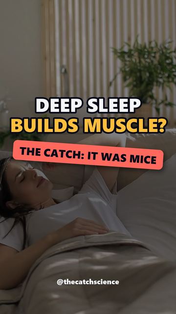 DEEP SLEEP BUILDS MUSCLE?. The catch: It was mice