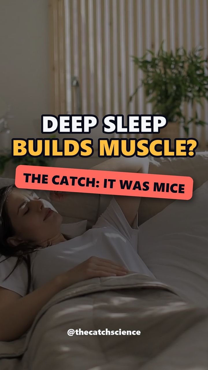 DEEP SLEEP BUILDS MUSCLE?. The catch: It was mice