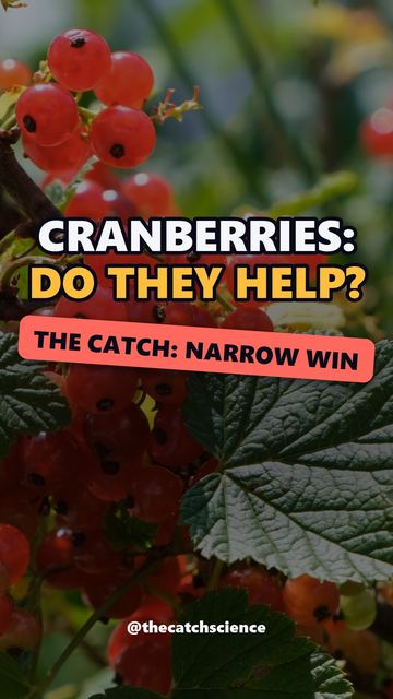 CRANBERRIES: DO THEY HELP?. The catch: Narrow win