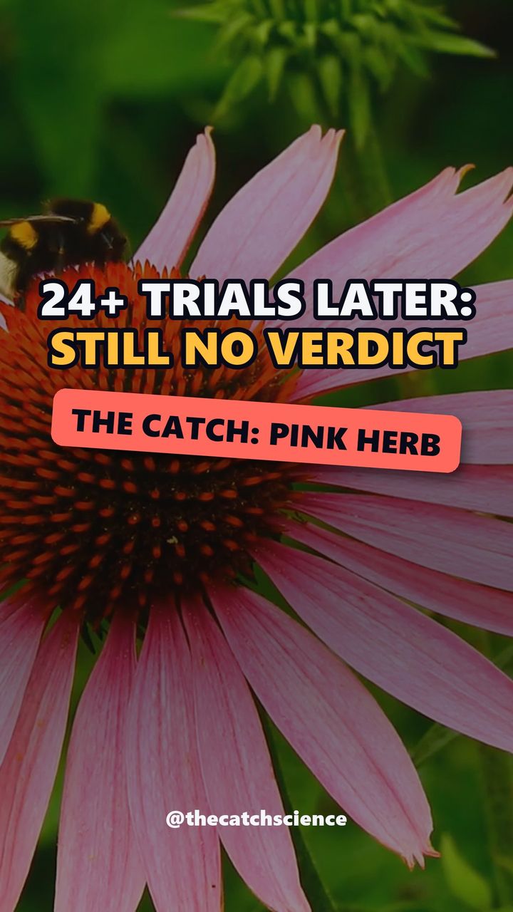 24+ TRIALS LATER: STILL NO VERDICT. The catch: Pink herb