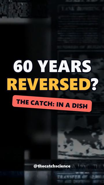 60 YEARS REVERSED?. The catch: In a dish