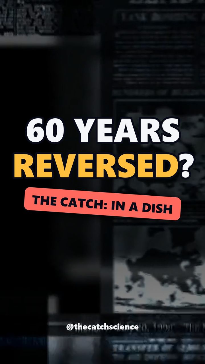 60 YEARS REVERSED?. The catch: In a dish