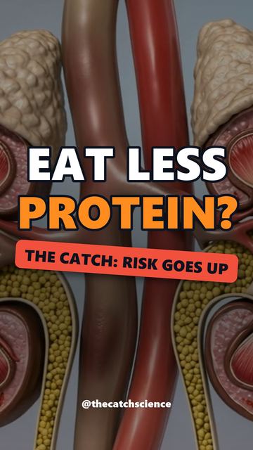 EAT LESS PROTEIN?. The catch: Risk goes up