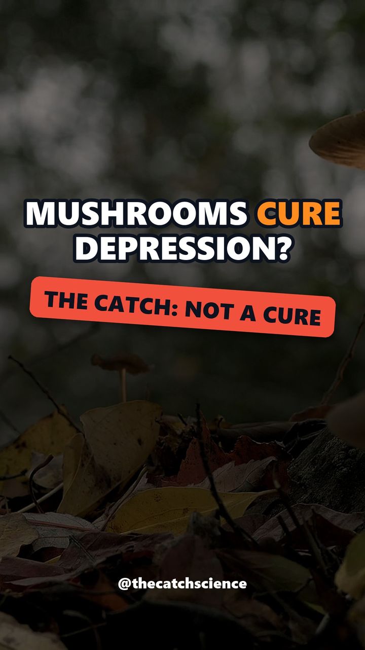 MUSHROOMS CURE DEPRESSION?. The catch: Not a cure